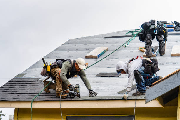 Professional Roofing technician working in Sharon, MA